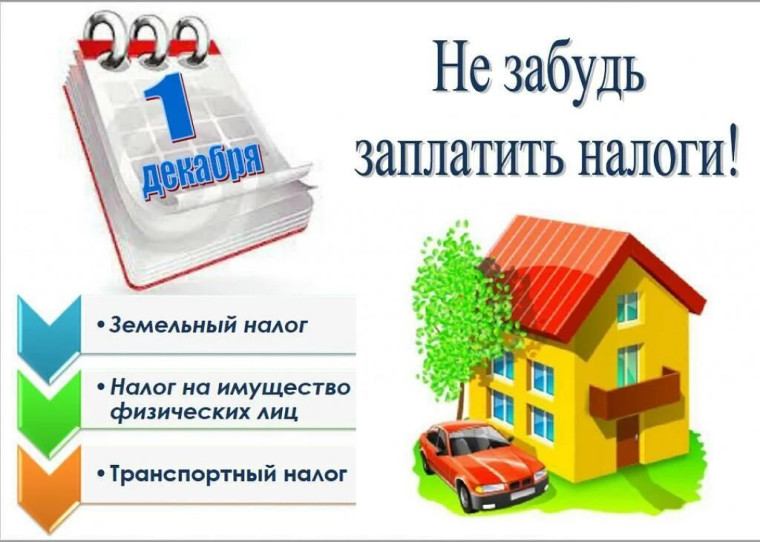 Имущественные налоги физических лиц. Имущественные налоги физических лиц.