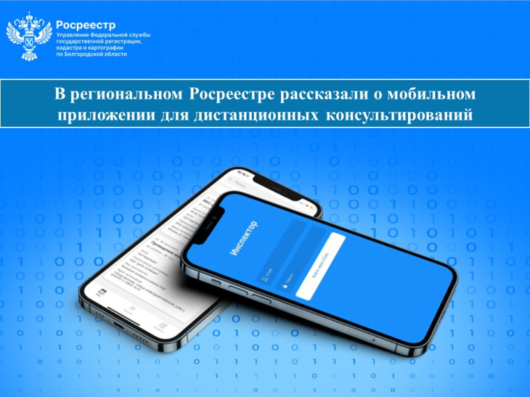 Мобильное приложение для дистанционных консультирований. Мобильное приложение для дистанционных консультирований.